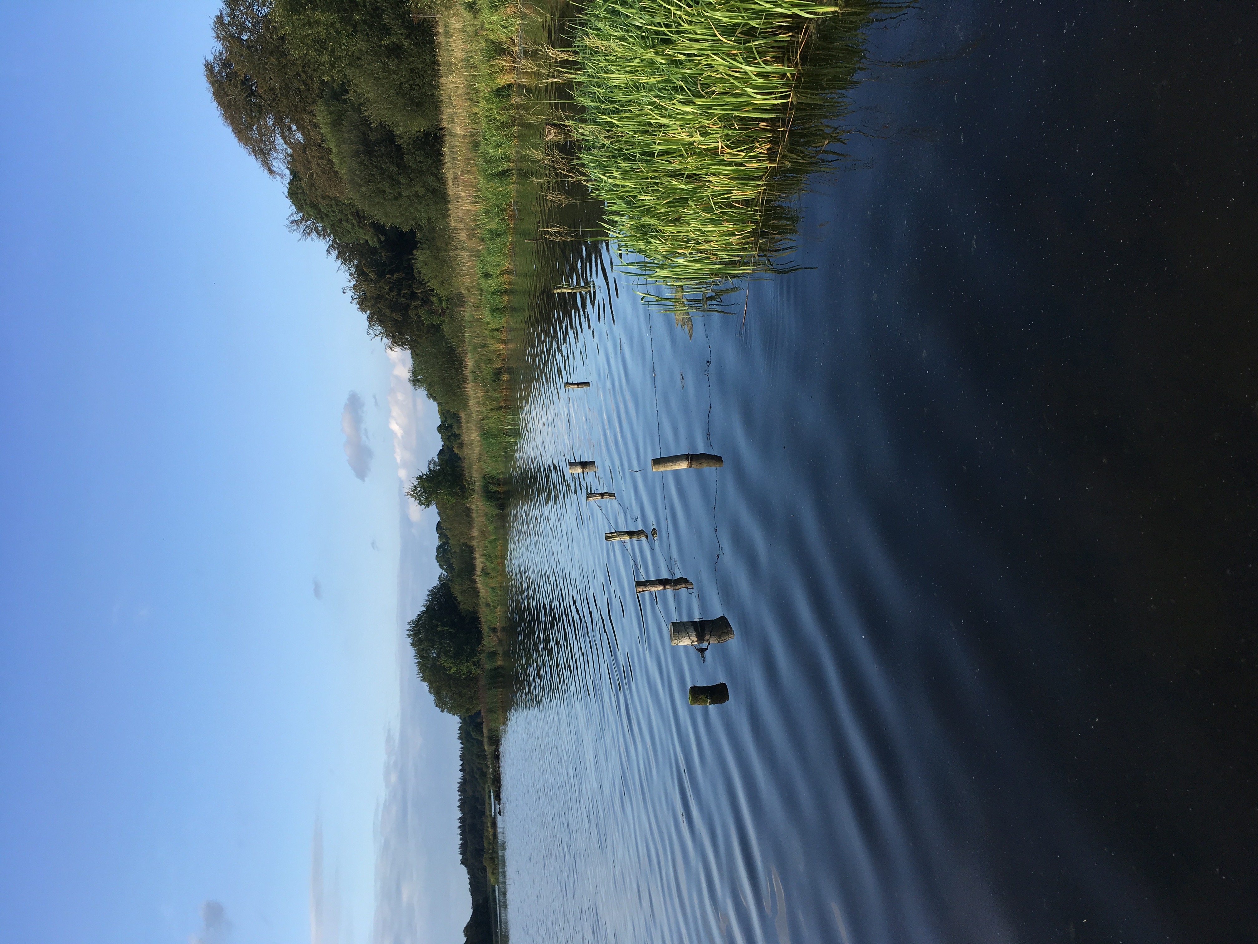 Sunny scene of the shore of Loch Ennel in Ireland