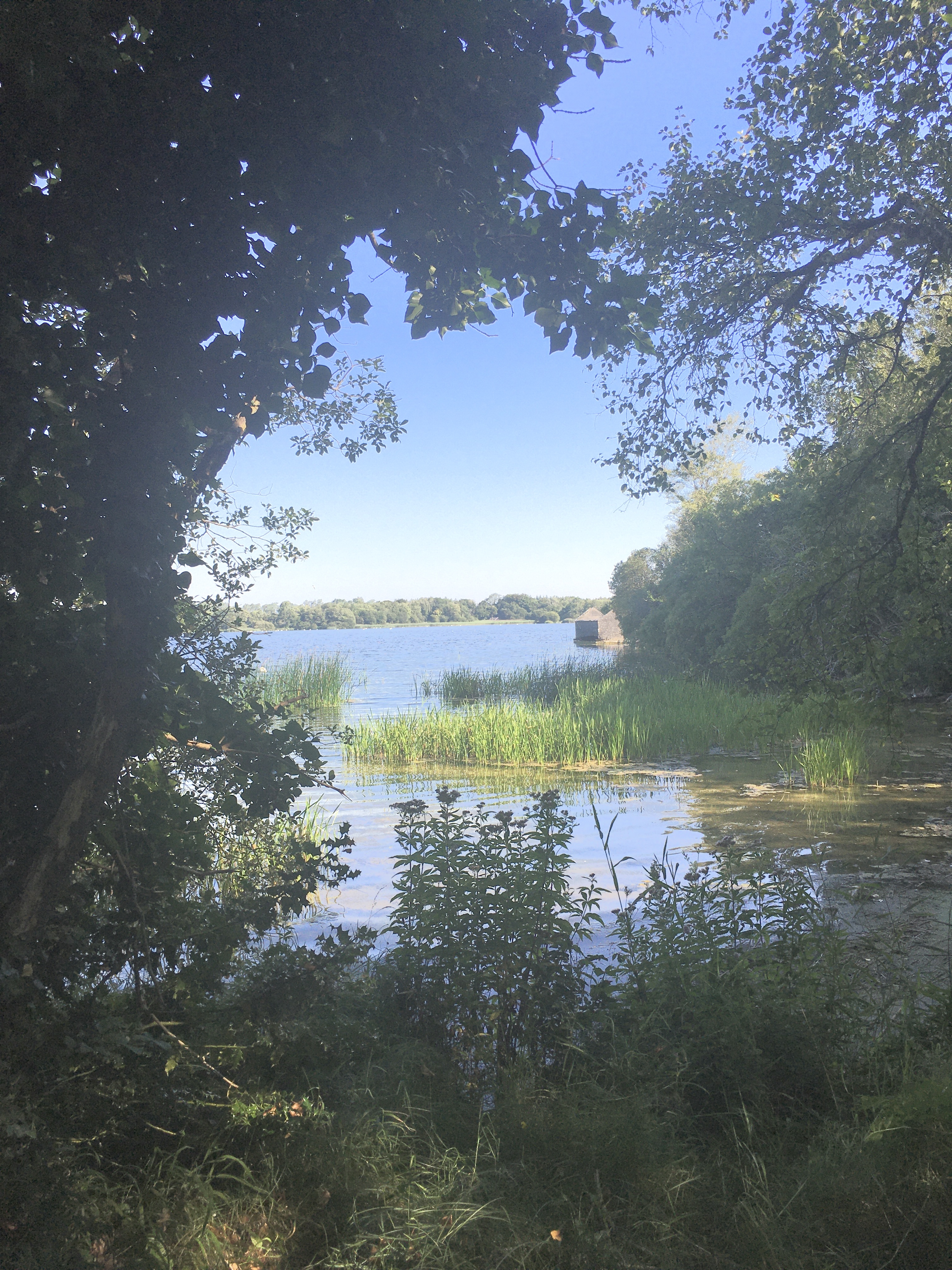 Sunny scene of the shore of Lough Ennel in Ireland