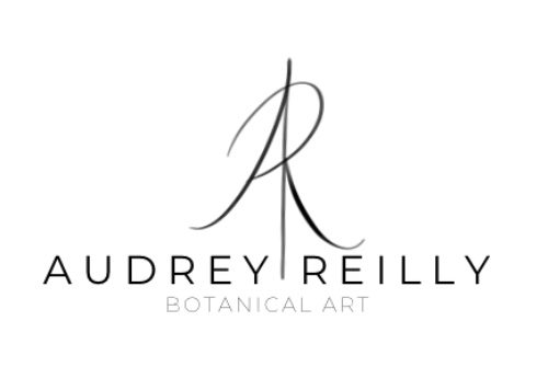 image with logo Audrey Reilly Botanical Art