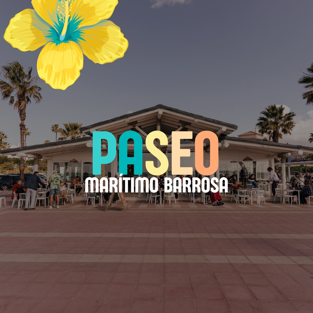 Visita la página /home