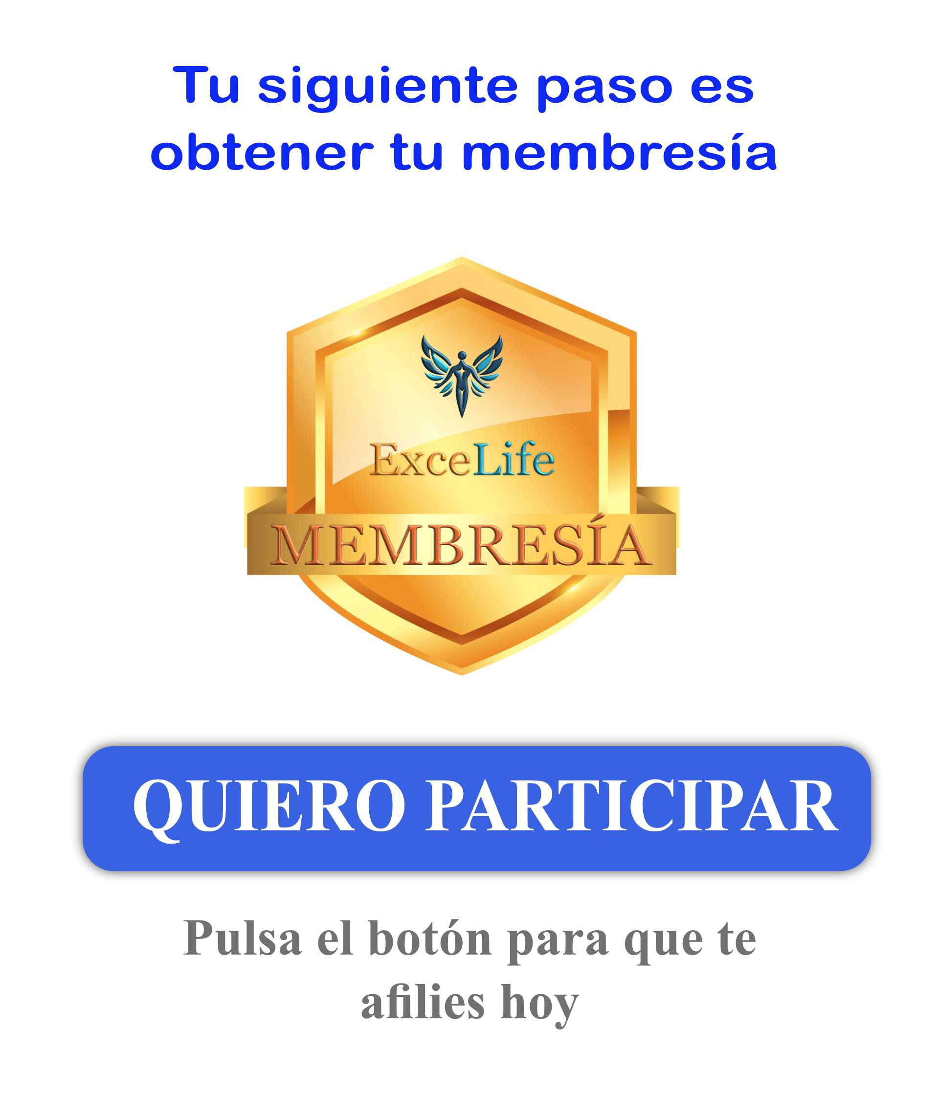 Visita nuestro sitio web