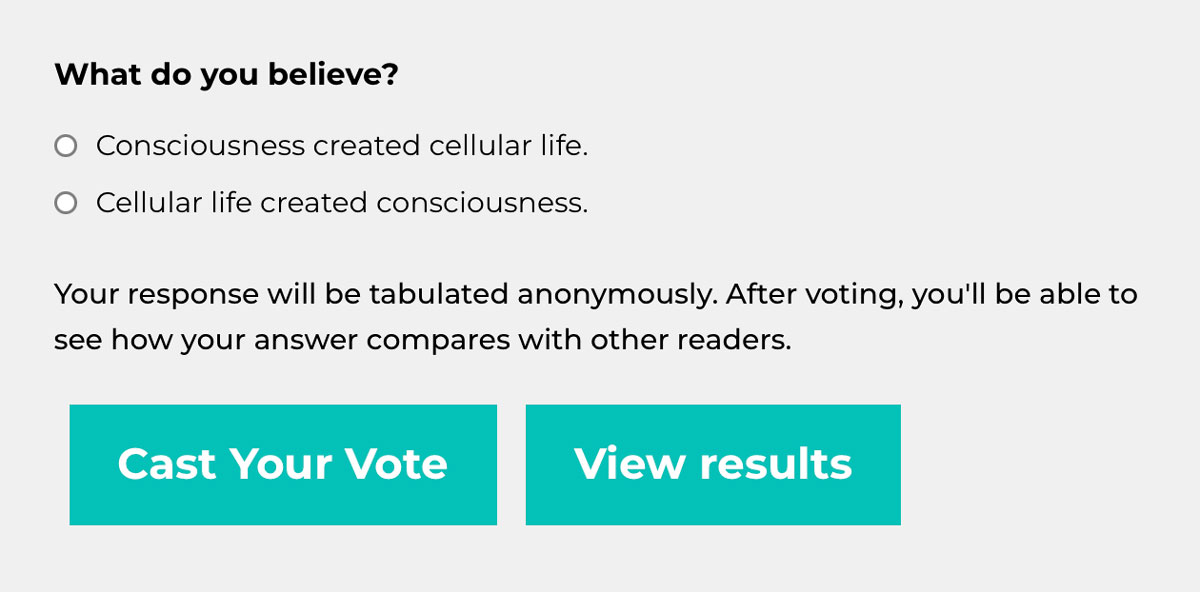 What do you believe?