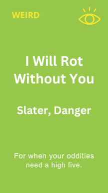 I Will Rot Without You by Danger Slater