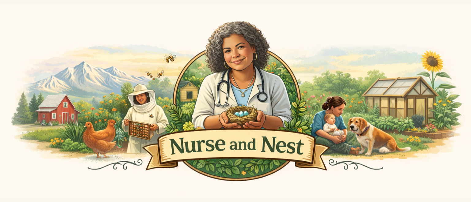 Nurse and Nest illustrated banner with nurse, family, and homestead