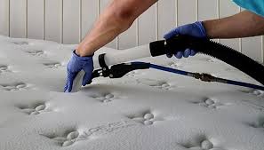Mattress sanitizing