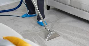 Rug and carpet cleaning