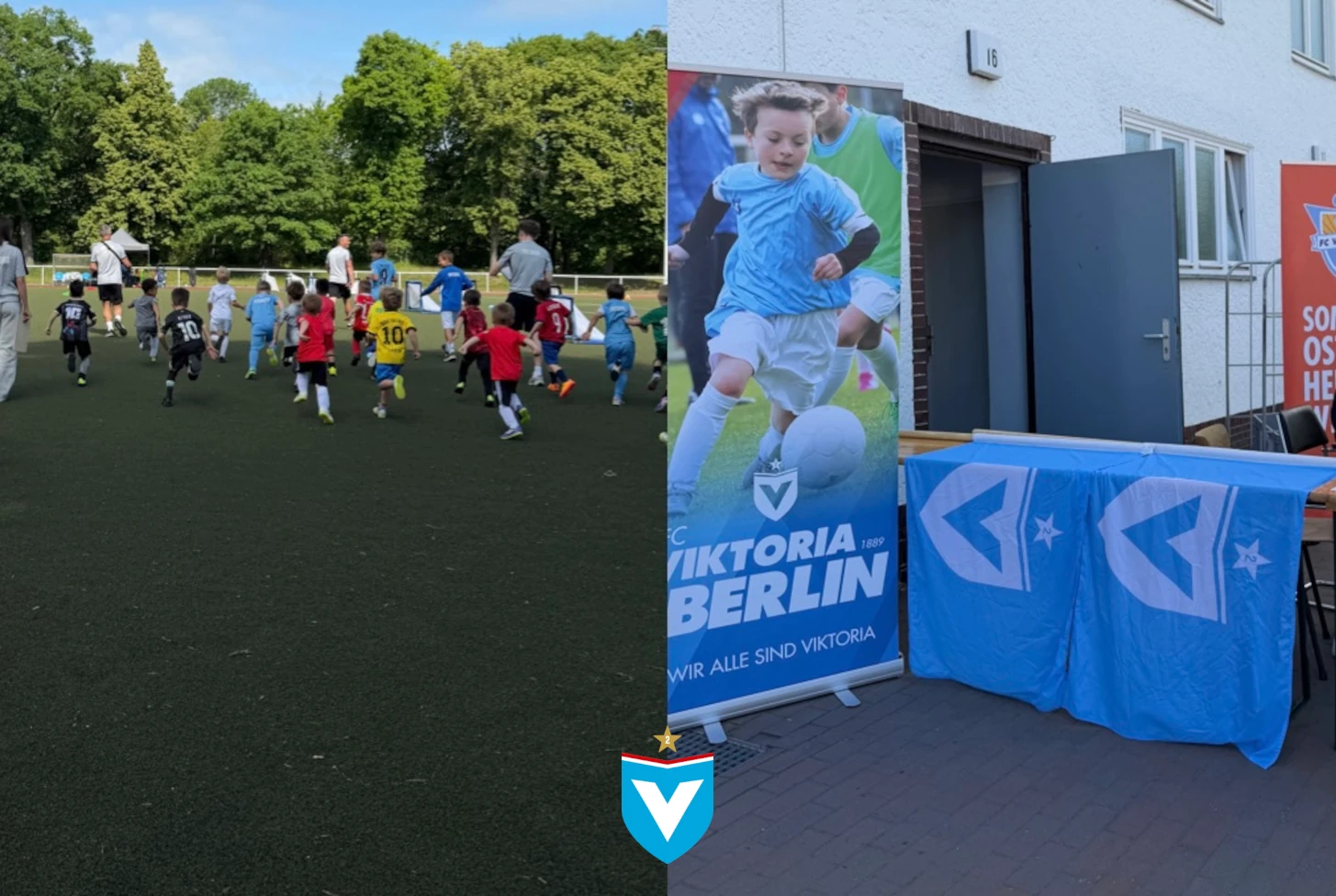Erfolgreiches Sichtungsturnier der Vikinger – jetzt Trainerinnen und Trainer gesucht!
