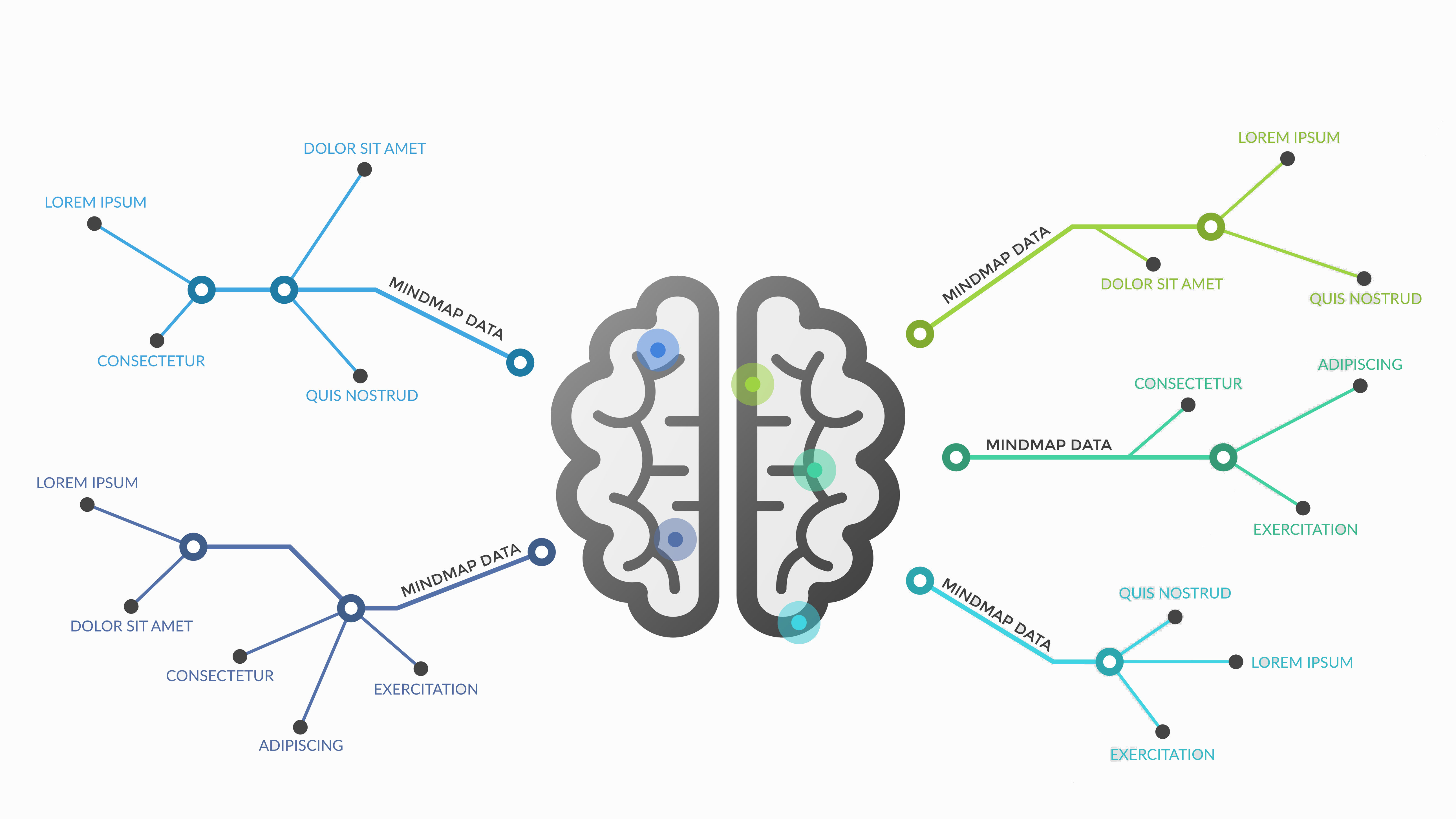 Brain designed as a map