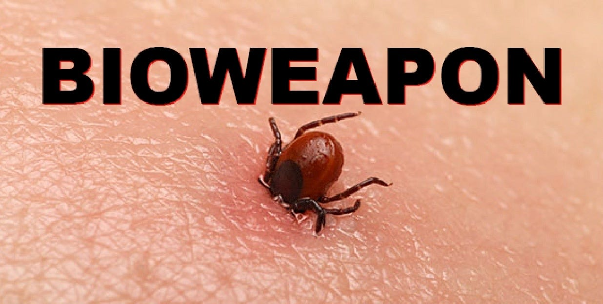 Article graphic about Lyme disease, ivermectin, and doxycycline claims