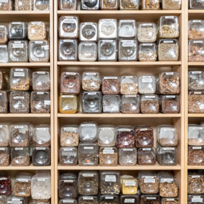 Yao Shan Herb Program -Early Bird Discount save over $300!