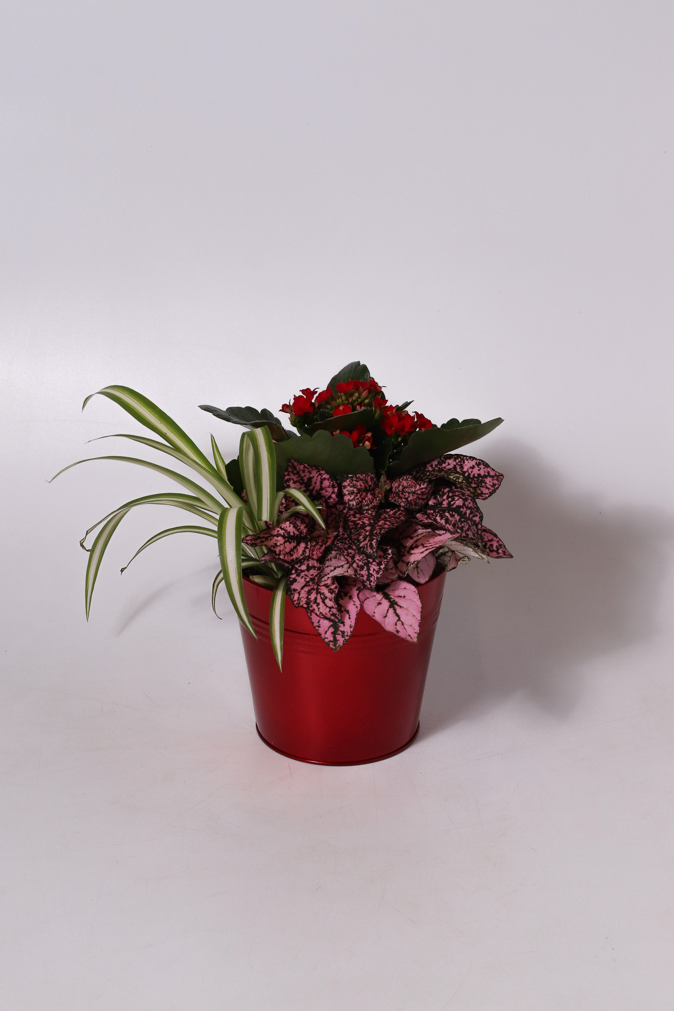 4" Red Elf Tin Garden