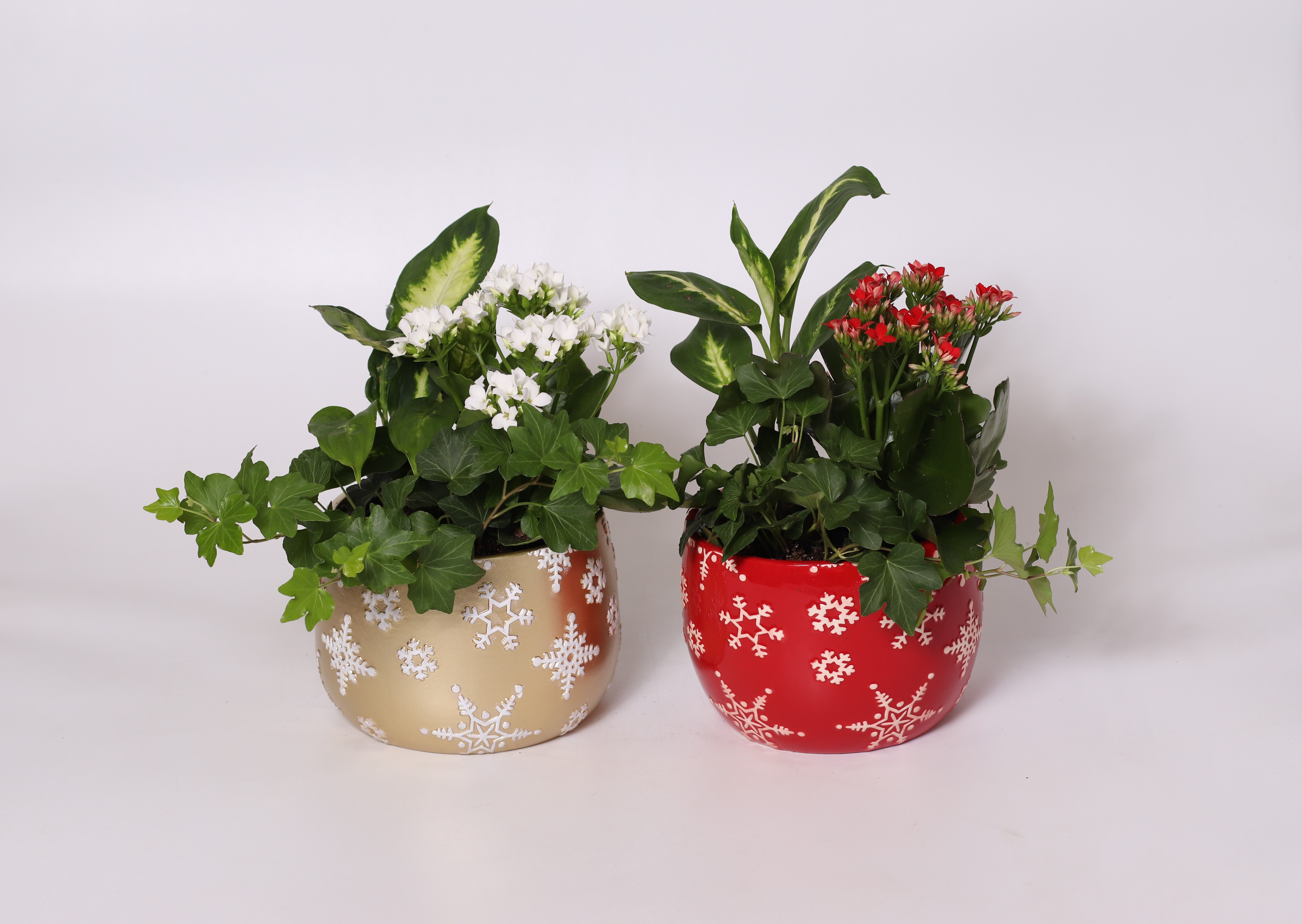 6" Snowflake Garden