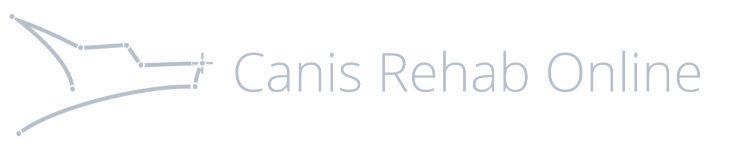 Common.Elements.Image.Internal