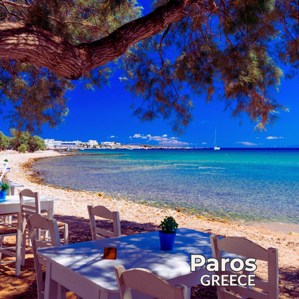 Visit our website