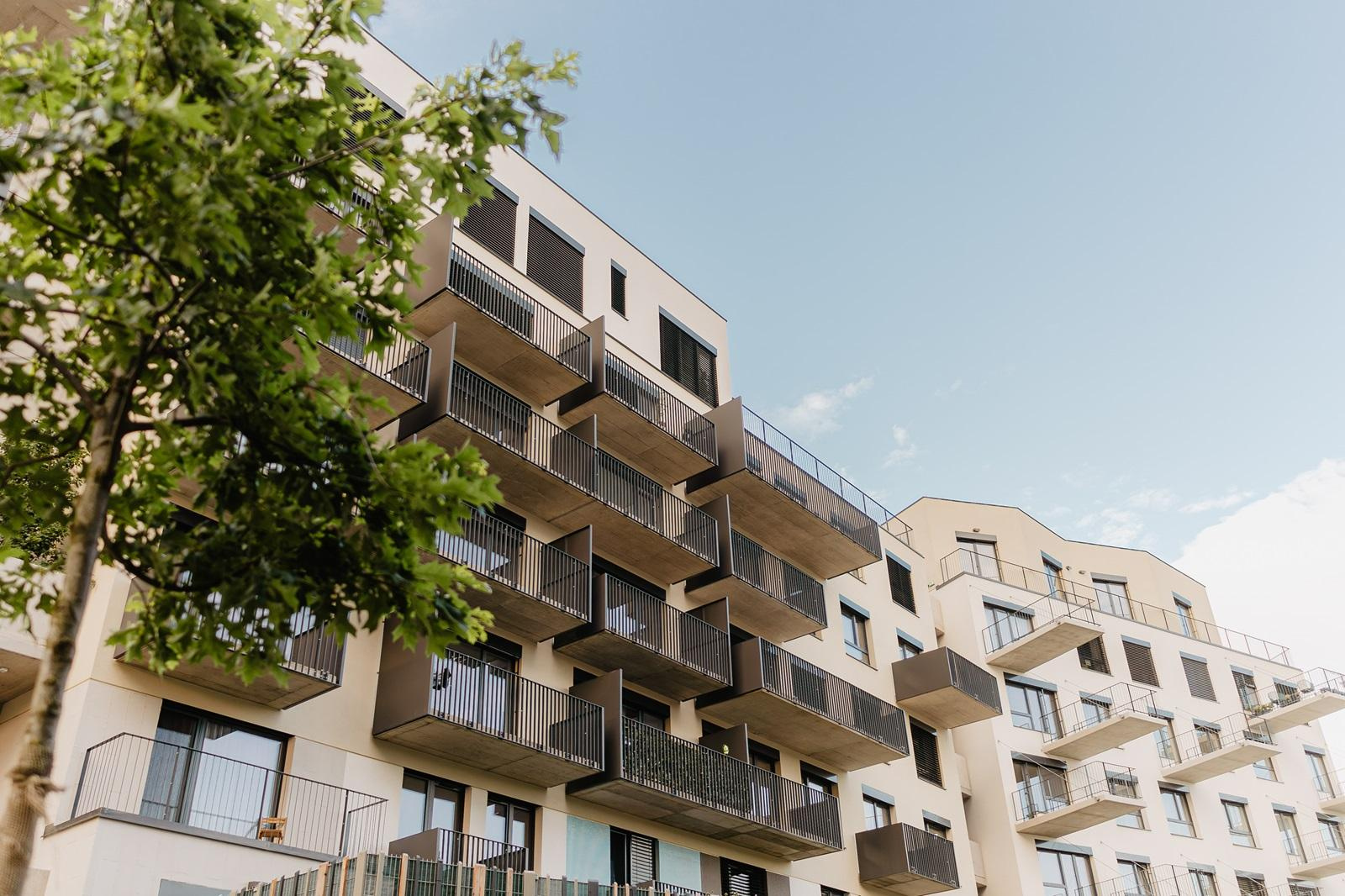 Programme immobilier neuf contemporain