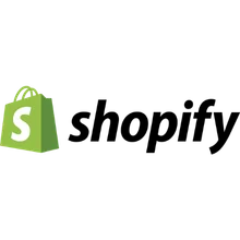 Shopify Partner