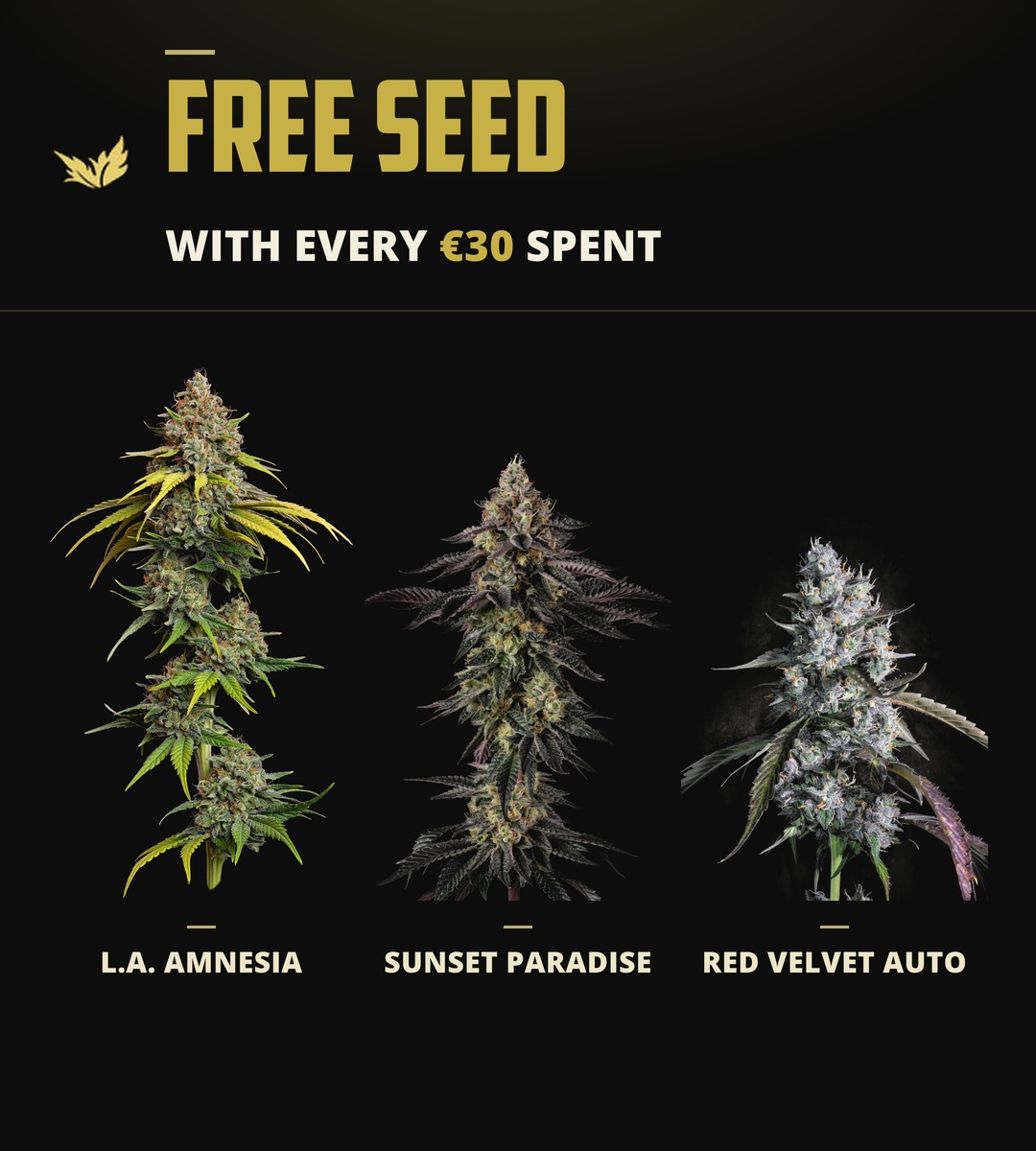 Free seed with every €30 spent