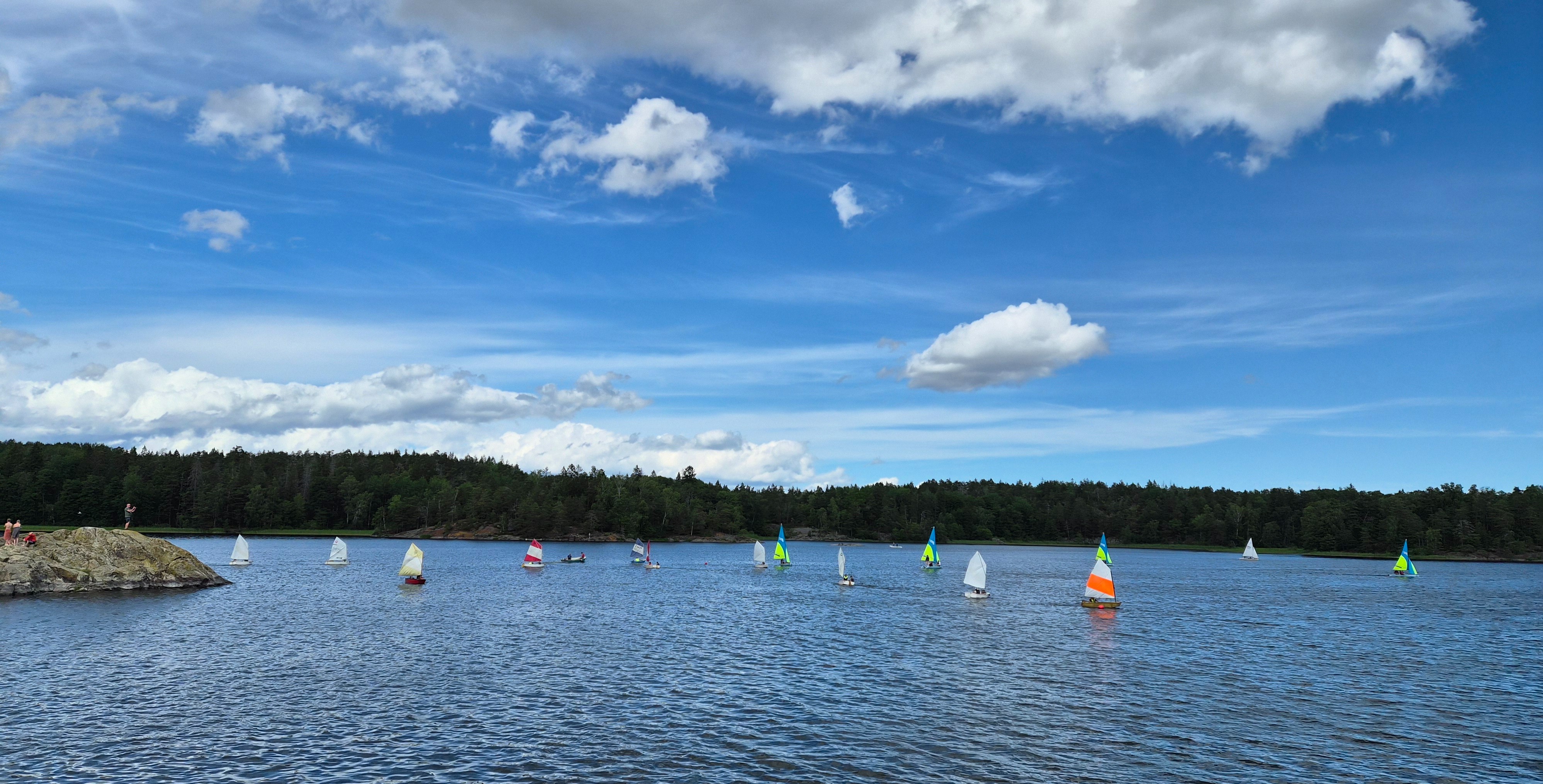 Drevviken fylld av segeljollar