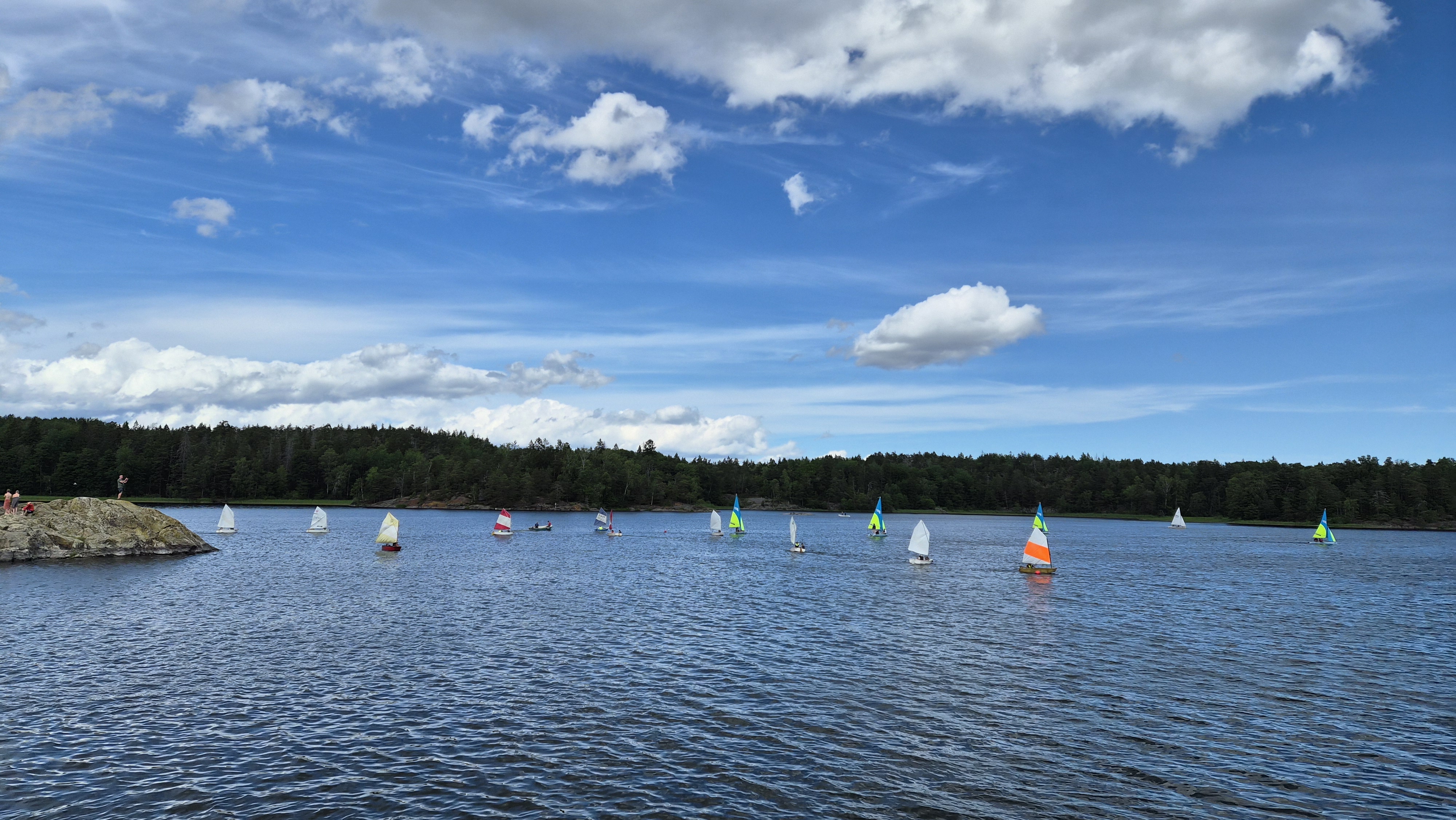 Drevviken fylld av segeljollar