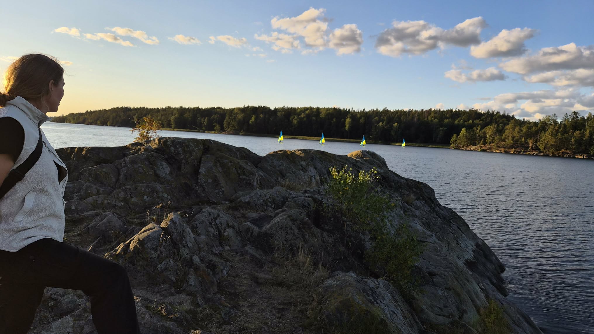 Kappseglingen från badberget