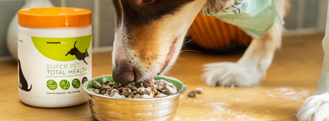 Common.Elements.Image.Web