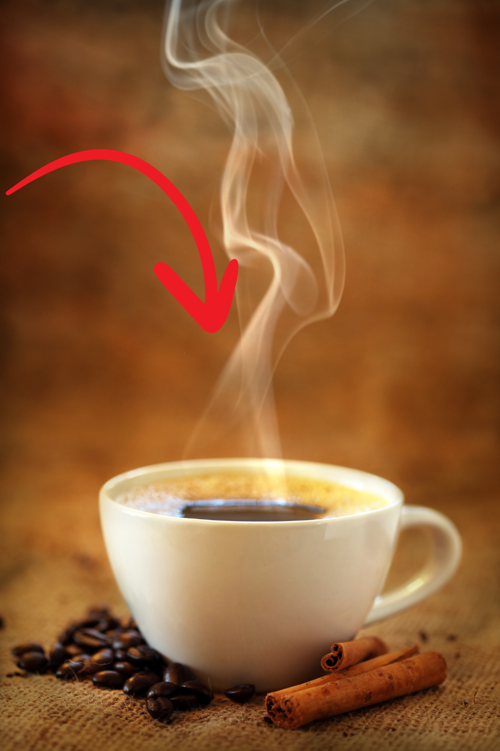 Common.Elements.Image.Web