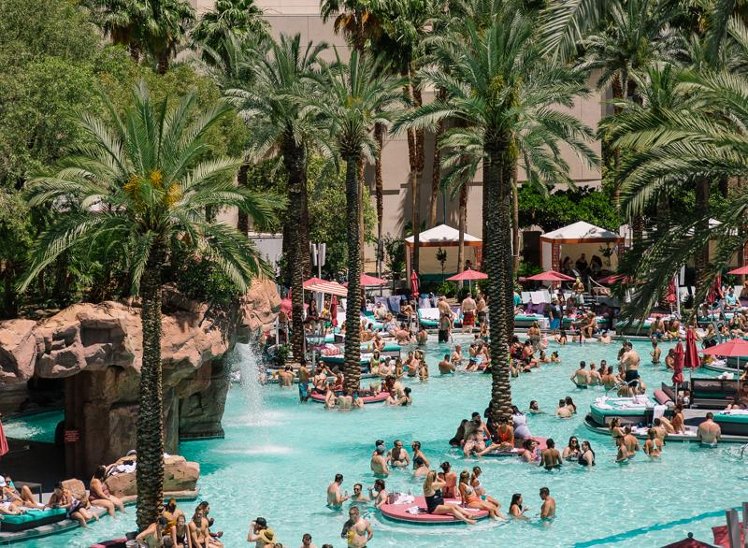 Common.Elements.Image.Web