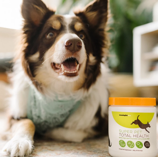 Common.Elements.Image.Web