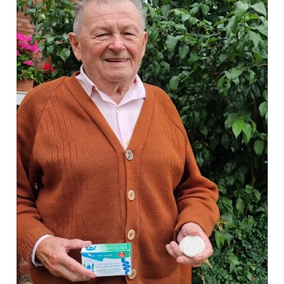 Common.Elements.Image.Web