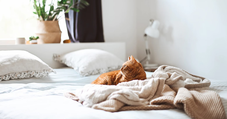 Common.Elements.Image.Web