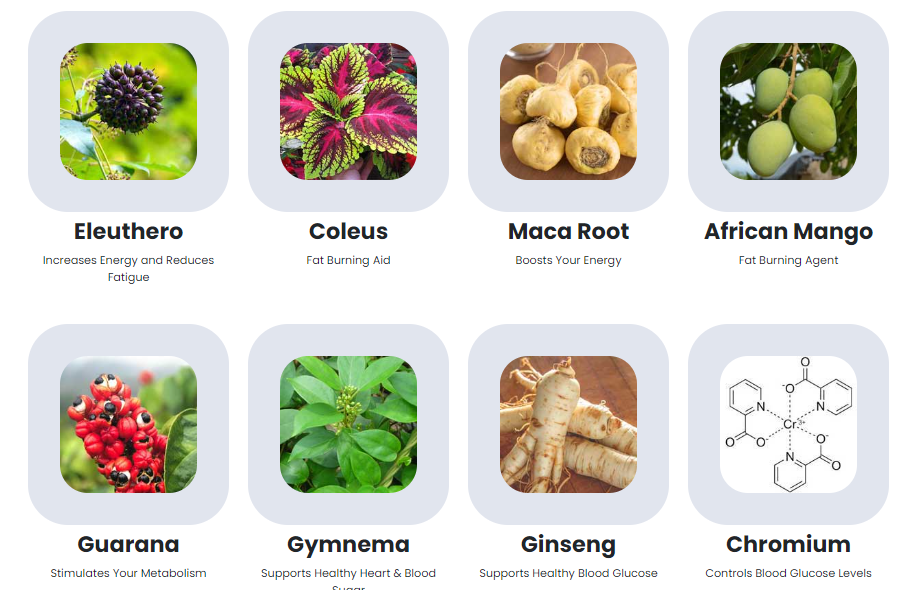 Common.Elements.Image.Web