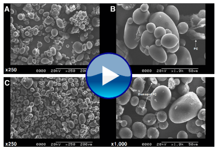 Common.Elements.Image.Web