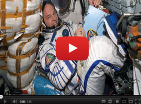 Common.Elements.Image.Web