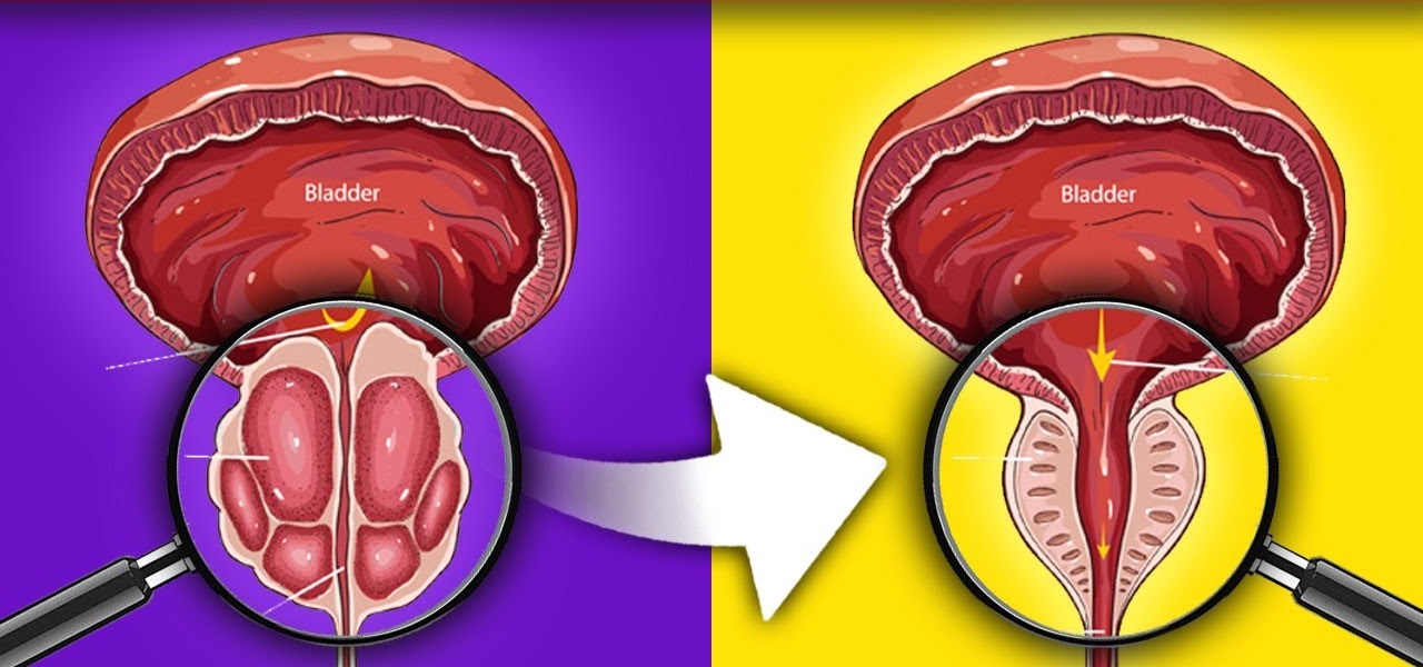 Common.Elements.Image.Web