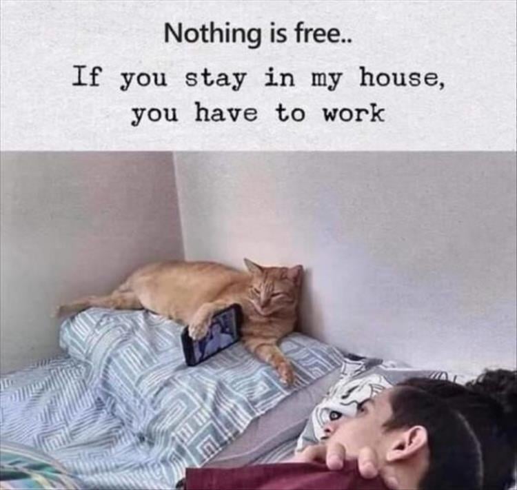 For A Laugh