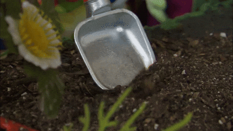 🌱 Your garden is trying to tell you something...