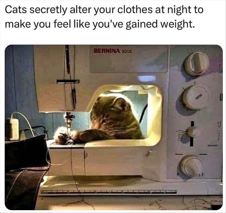 for a laugh