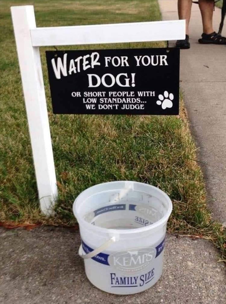 For A Laugh