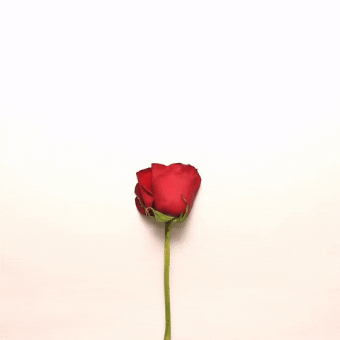 Download 'Rebirth' For A Soulful Revival