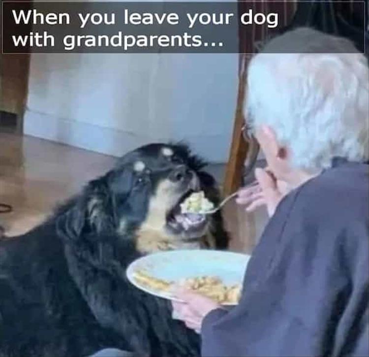 For A Laugh