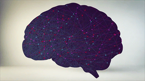 3000-Day NASA Study Unlocks Ancient Brain Power