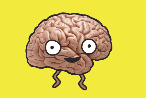 Your Brain Is Crying Out For This