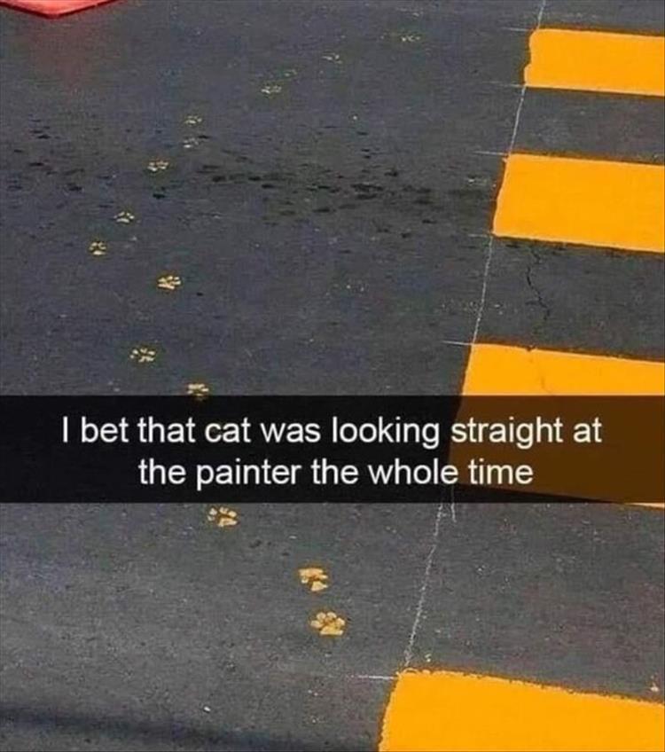 For A Laugh