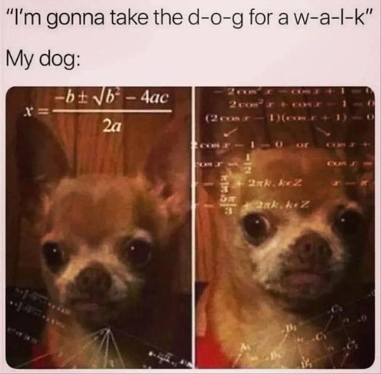 for a laugh