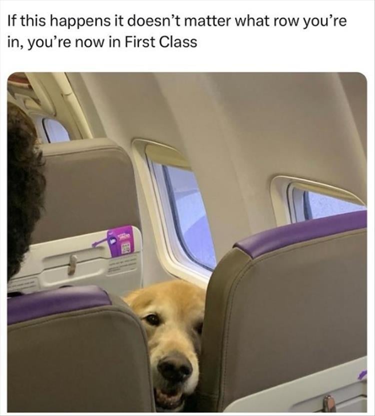 For A Laugh