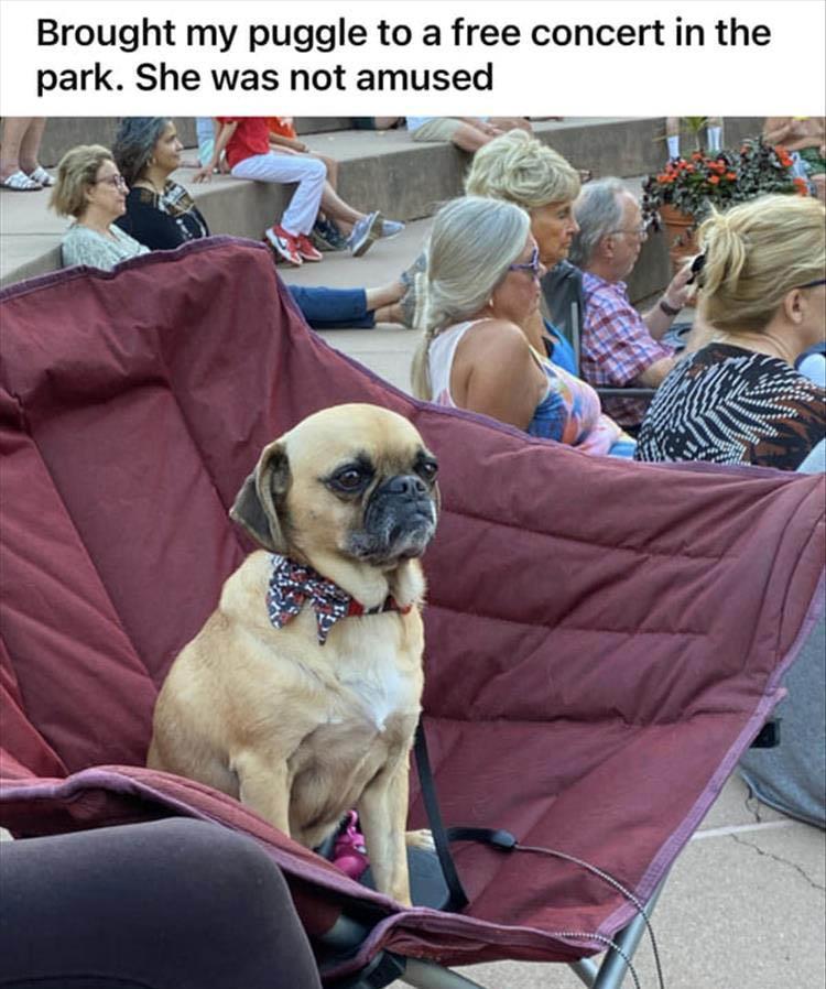 for a laugh