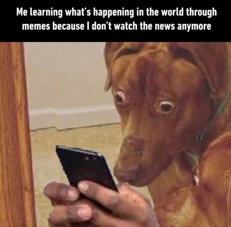 For A Laugh