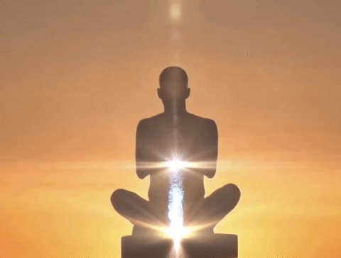 Experience the Law of Attraction