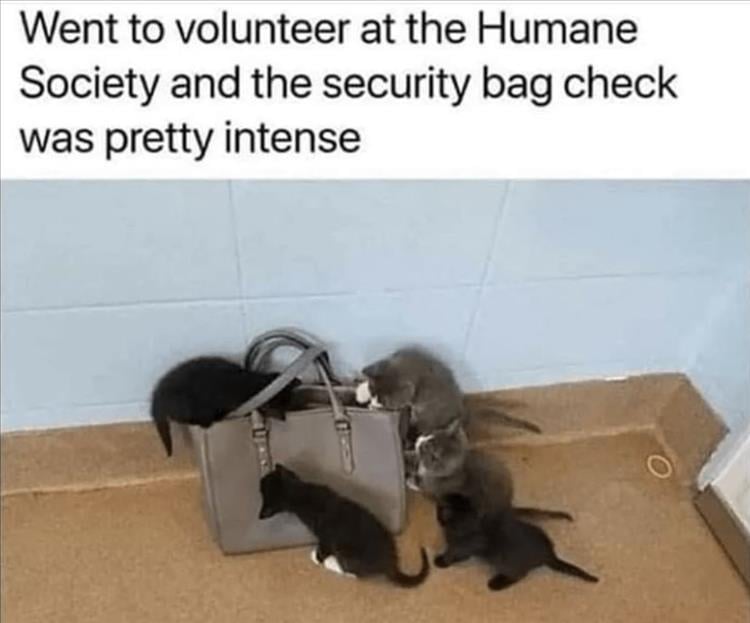 For A Laugh