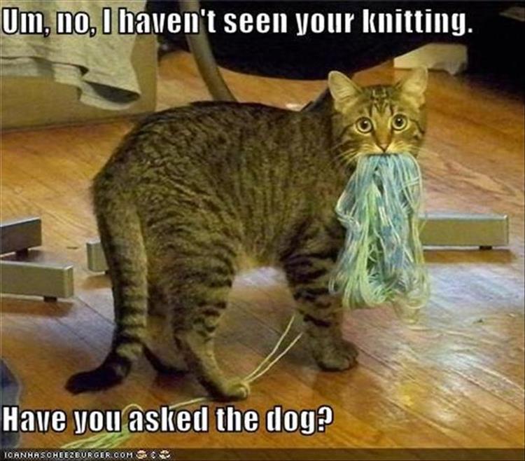 For A Laugh